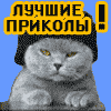 Аватара пользователя